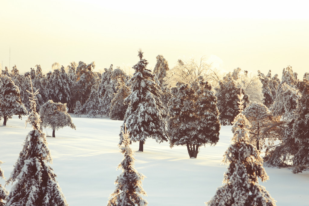 Celebrating Light And Darkness During The Winter Solstice