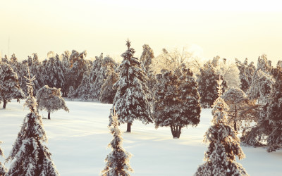 Celebrating Light and Darkness During the Winter Solstice